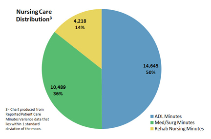 Time Study Nursing Care Distribution